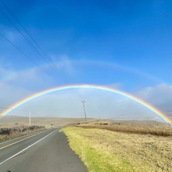 Meet your Posher - Picture 1 of 1